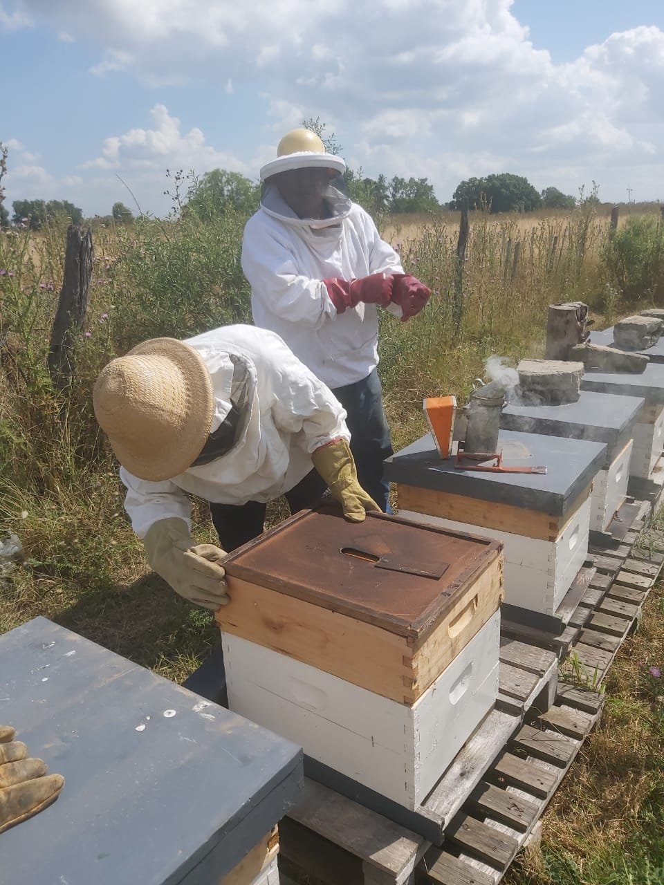 Trabajo apícola de La Sagrada Abeja